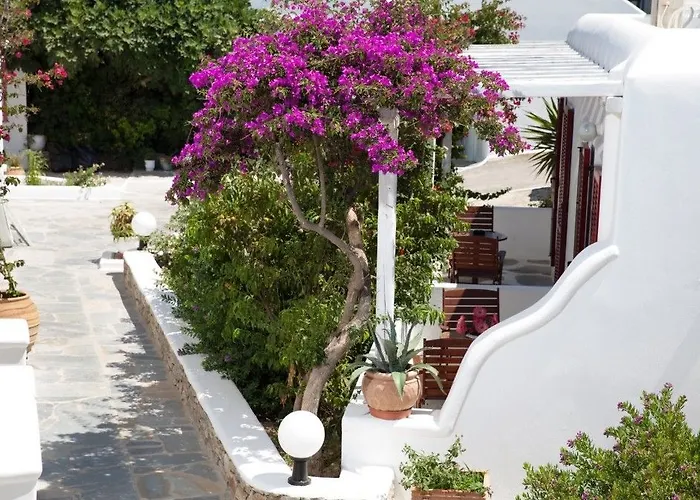 Domna Hotell Mykonos Town