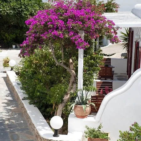 Domna Hotell Mykonos Town